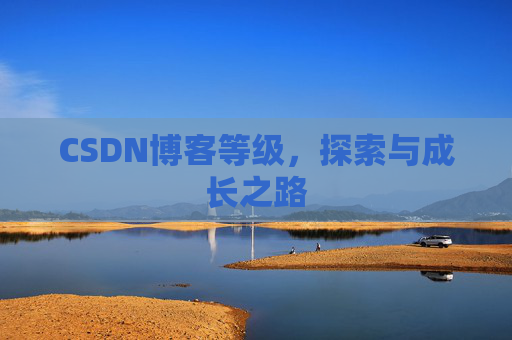 CSDN博客等级，探索与成长之路